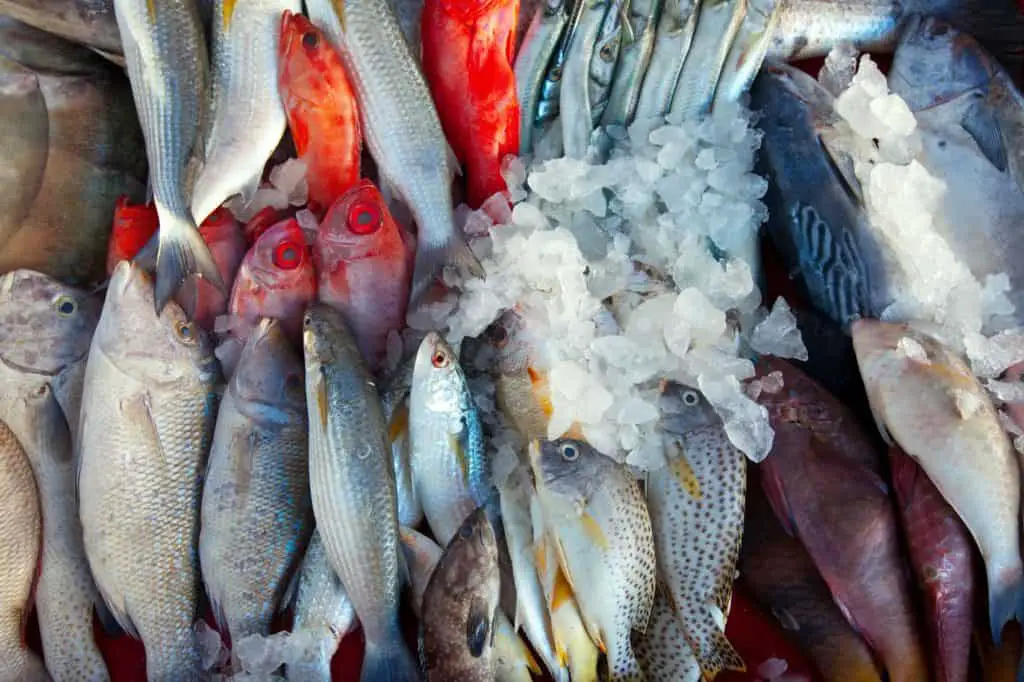 fish that aren't frozen promptly may be high in histamine