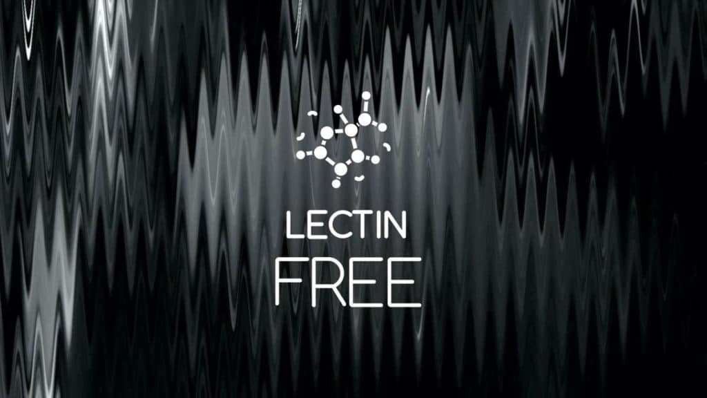 lentils contain lectins
