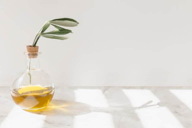 Is Olive Oil High Histamine? Histamine Doctor