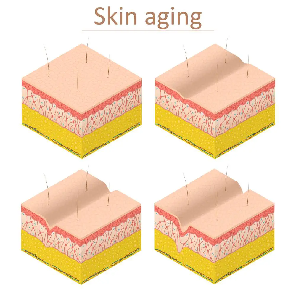 collagen powder for aging skin