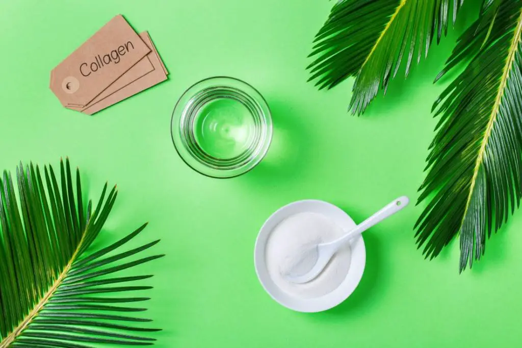 Histamine Doctor Navigating histamine intolerance