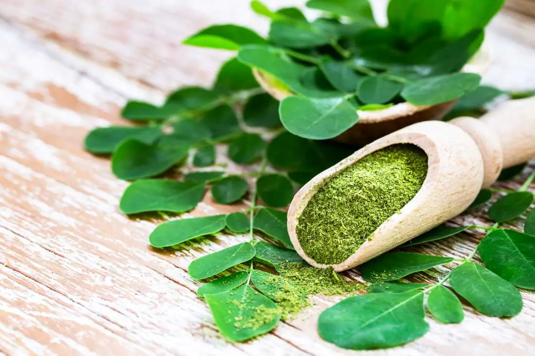 moringa and histamine intolerance