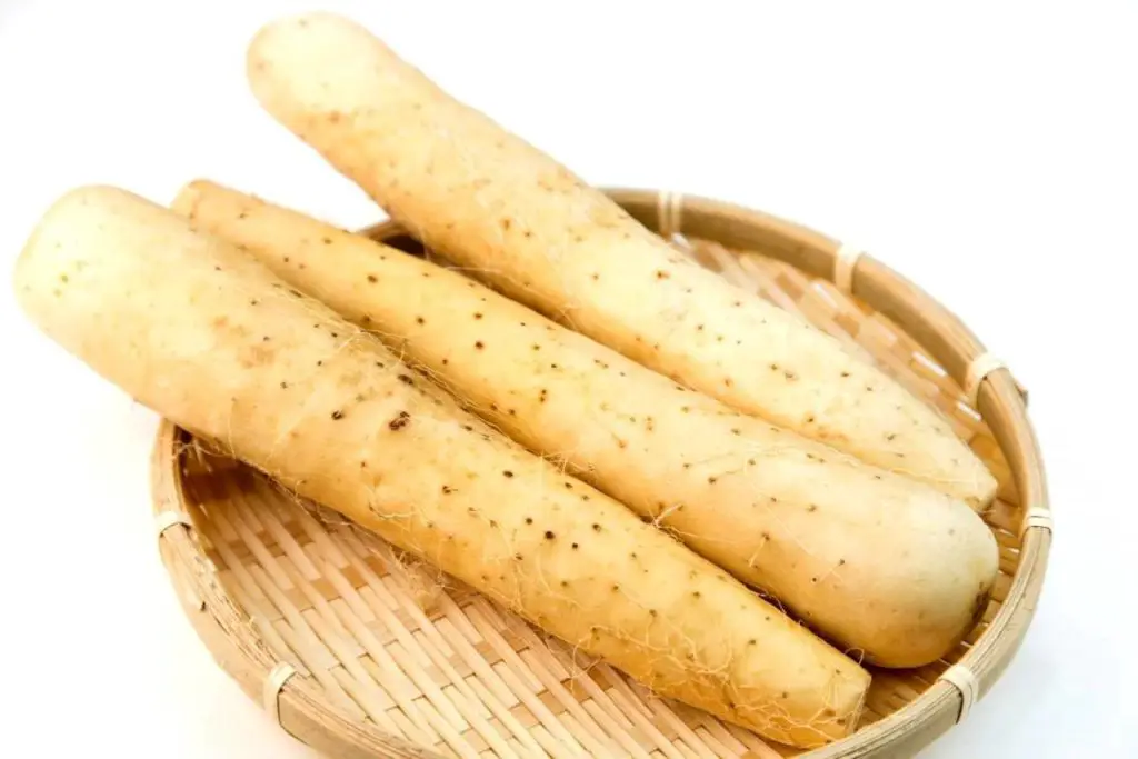 Histamine Doctor Navigating histamine intolerance