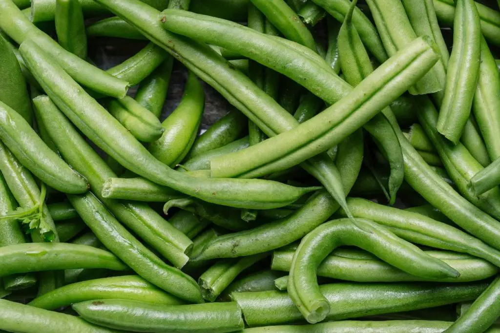 raw green beans contain lectins