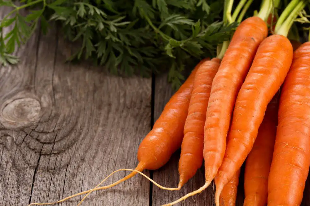 Carrots are a low-histamine root vegetable