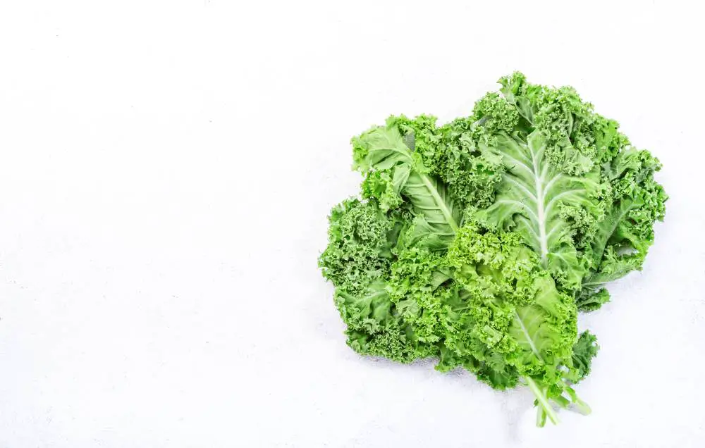 Kale is low in histamine