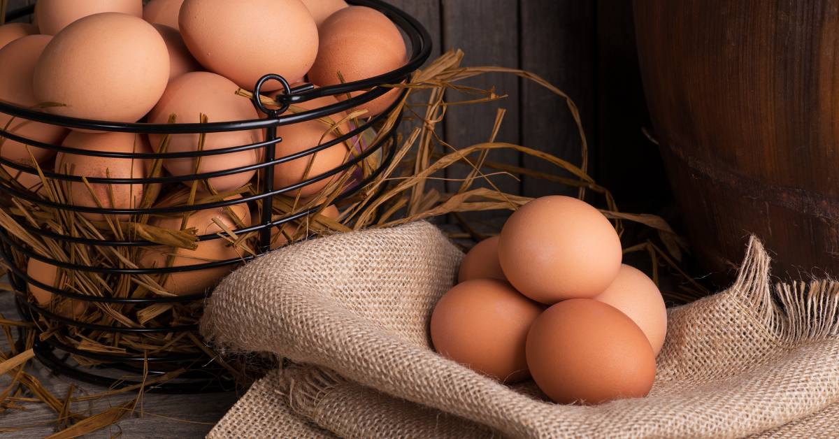 are eggs high in histamine