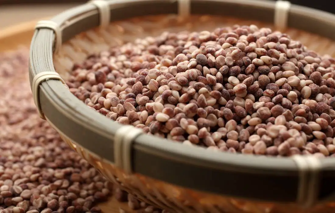 5 Low Histamine Grains and How to Enjoy Them Histamine Doctor