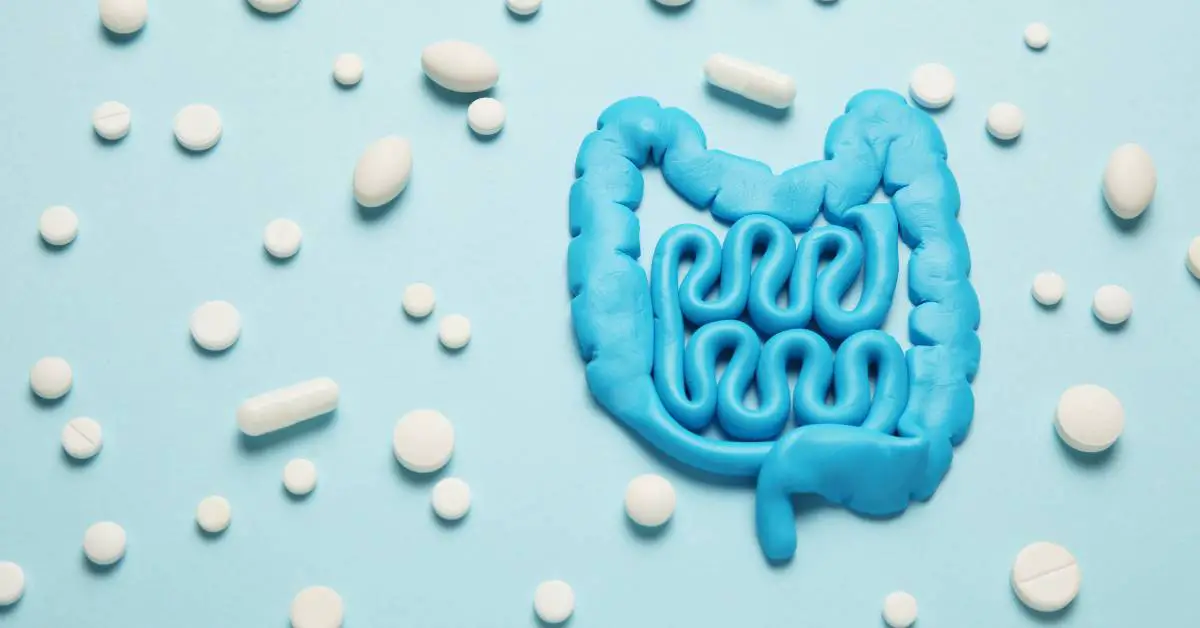 Are Probiotics High in Histamine? Histamine Doctor