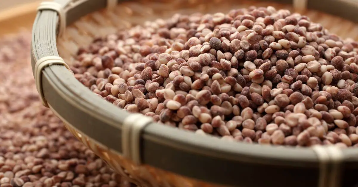 Is Popcorn Low Histamine? Histamine Doctor