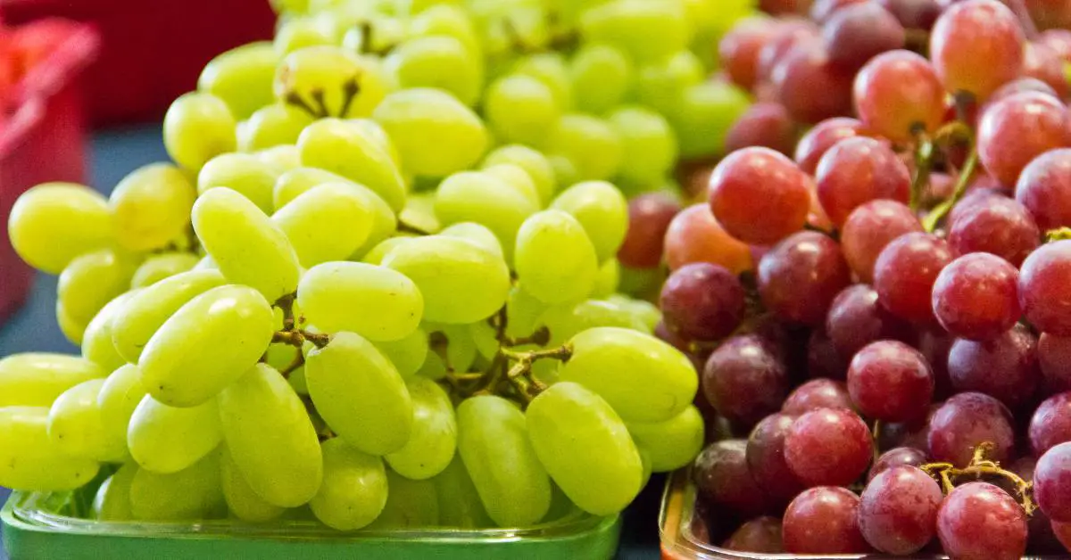 are grapes low histamine
