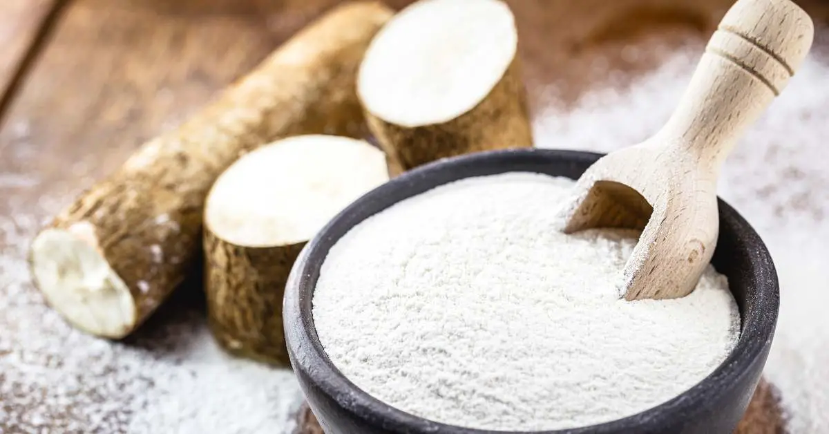 What Flour Is Low Histamine? Histamine Doctor