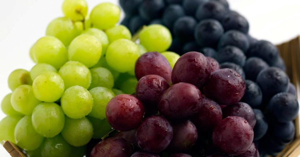 grapes in modest quantities may be suitable for a low histamine diet