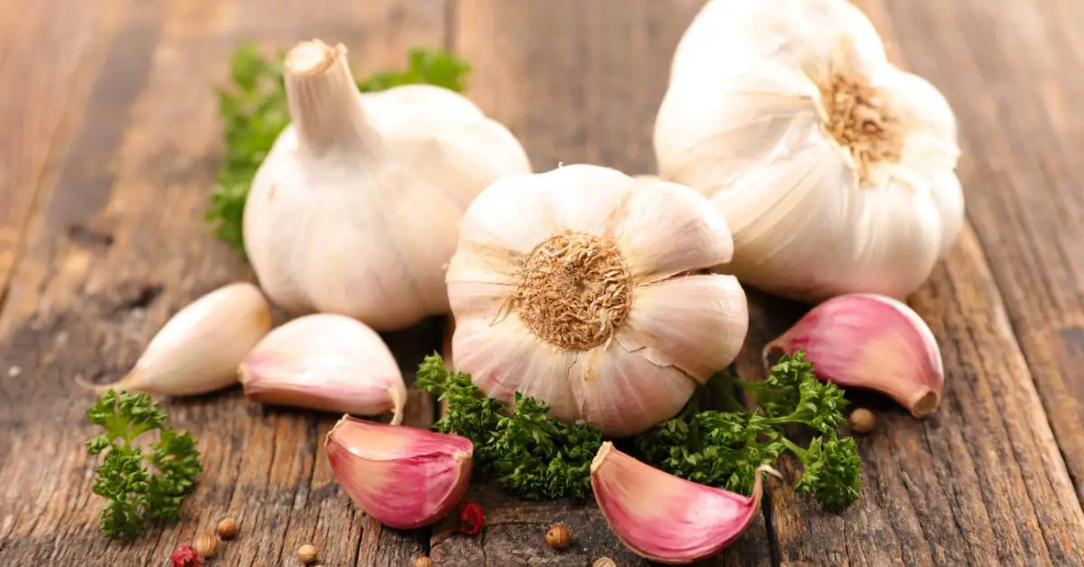 is garlic high in histamine