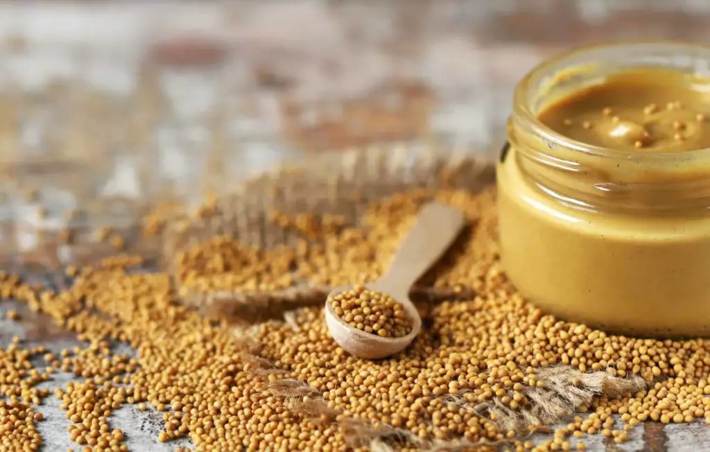Is There a Low Histamine Mustard You Can Enjoy with Histamine