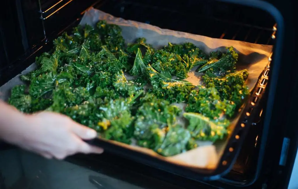 kale chips are a low histamine snack