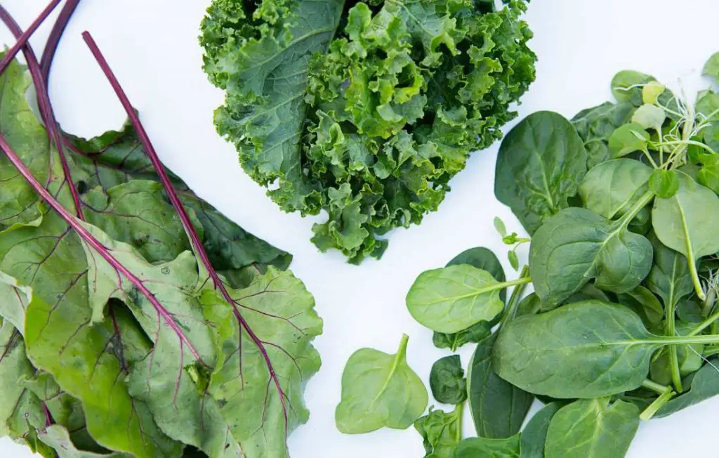 low histamine leafy greens