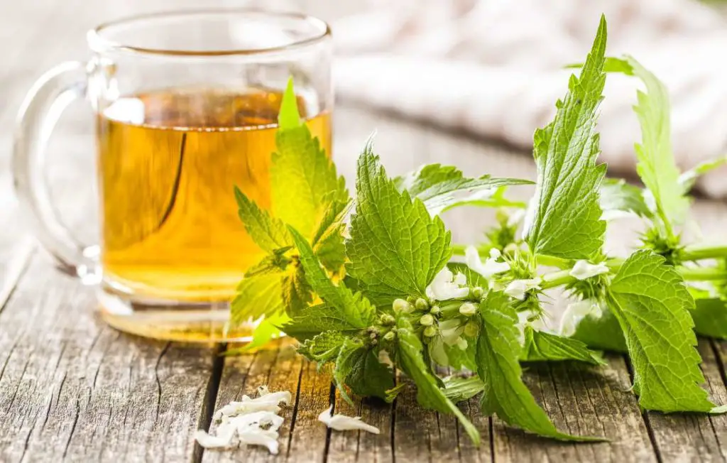 nettle tea is an antihistamine tea