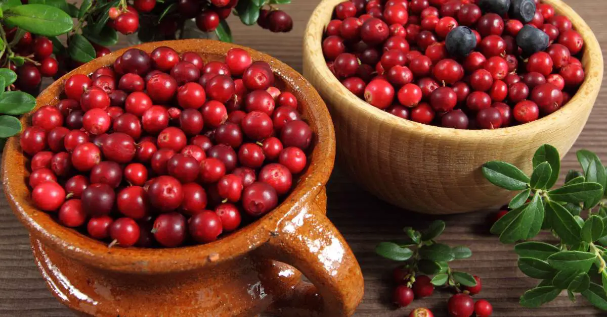 are cranberries low histamine