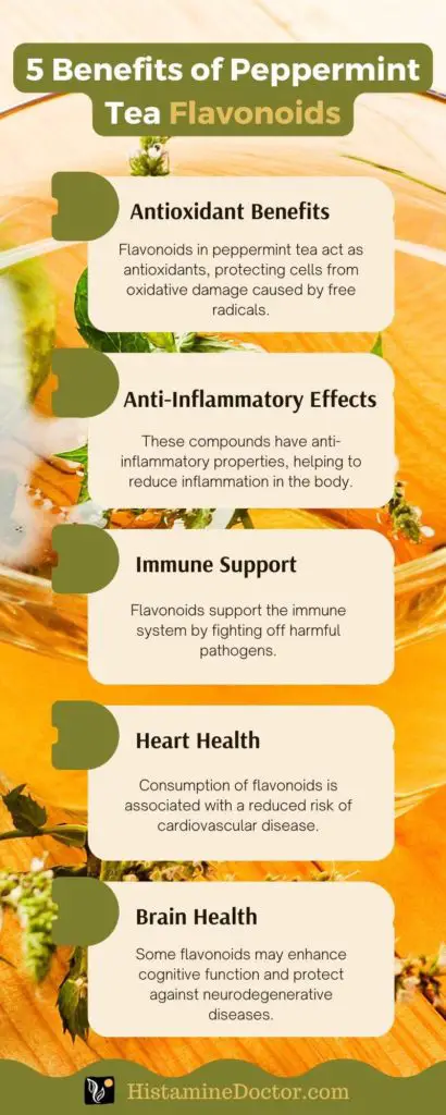 benefits of peppermint tea flavonoids infographic