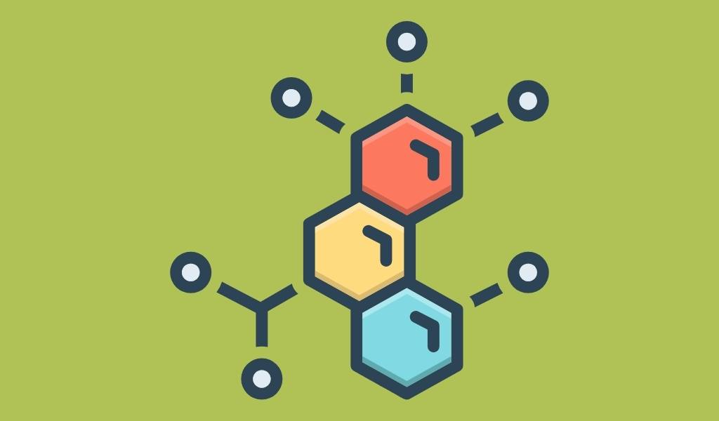 enzymes that break down histamine