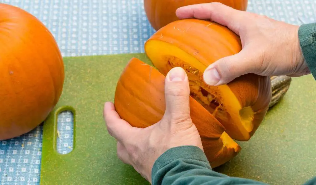 fresh pumpkin is best if you have histamine intolerance