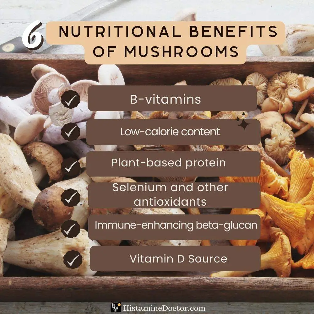 nutritional content of mushrooms infographic 2
