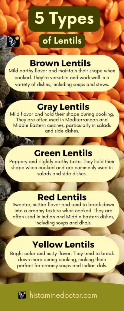 types of lentils infographic