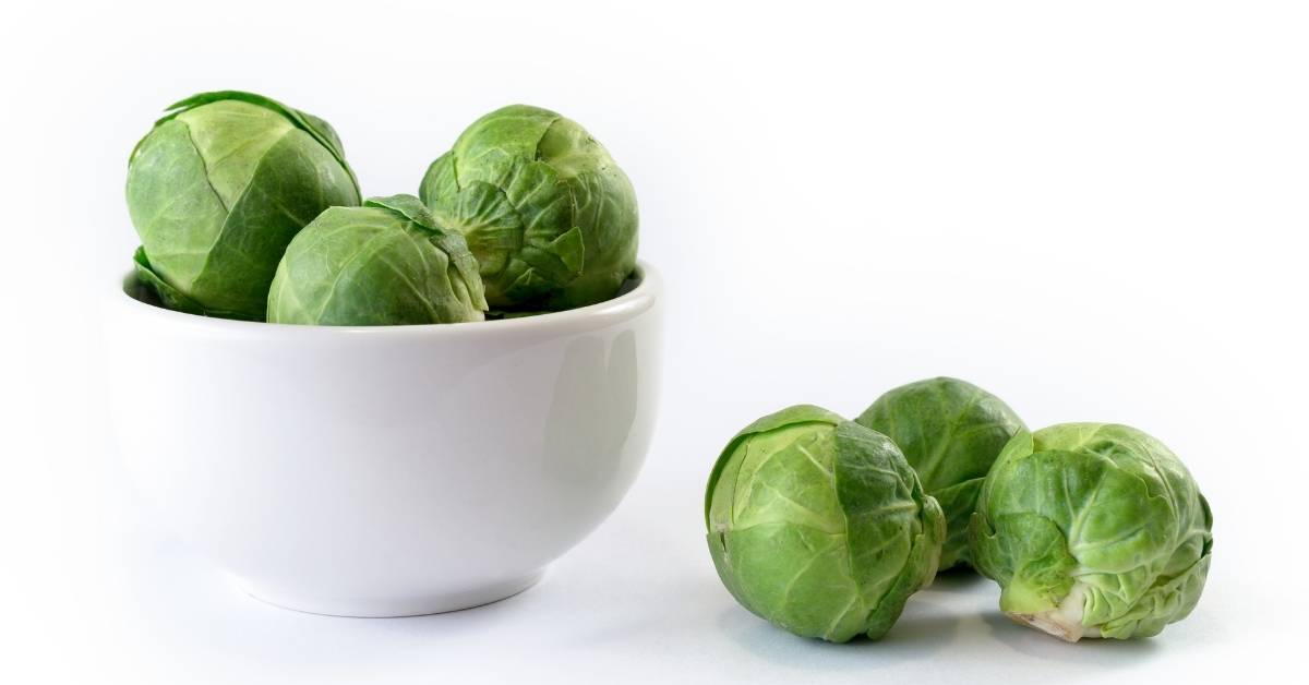 are brussels sprouts high in histamine