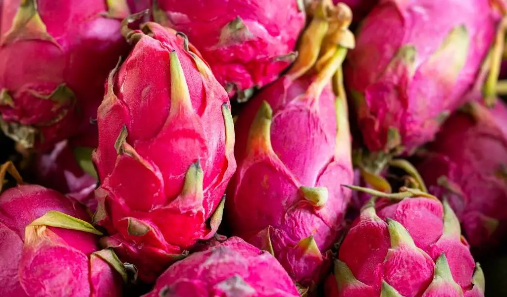 dragon fruit is low histamines and other biogenic amines