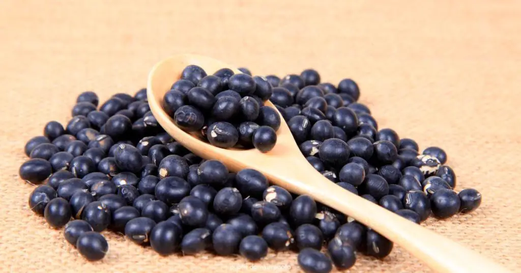 Are Black Beans Low Histamine? Histamine Doctor