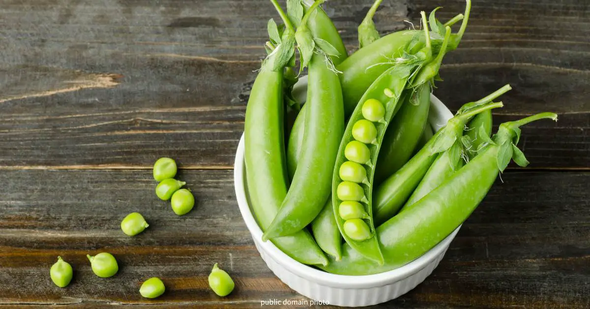 are peas high in histamine