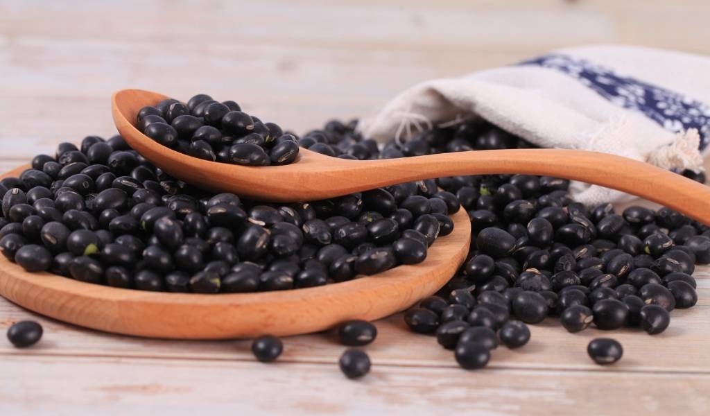 black beans are low in biogenic amines