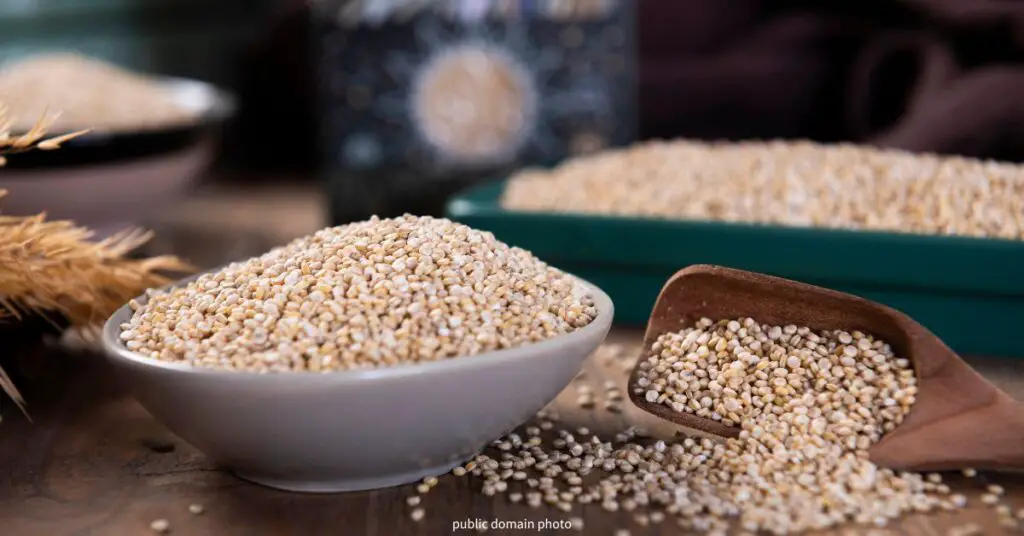 Is Quinoa Low Histamine? Histamine Doctor