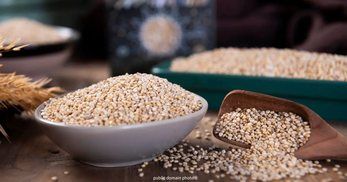 is quinoa low histamine