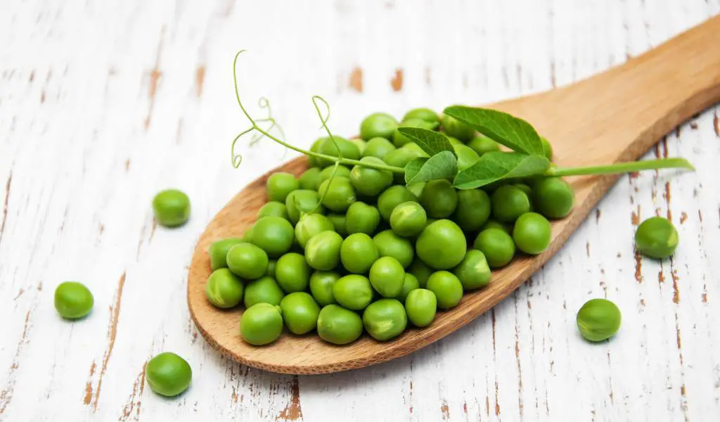 peas are a cautionary food if you have histamine intolerance