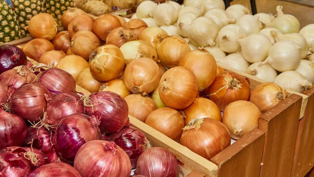 onions can often be tolerated on a low-histamine diet