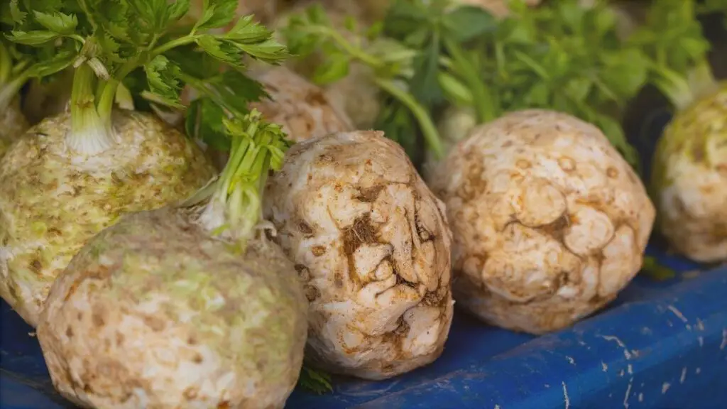 celeriac is a low histamine vegetable