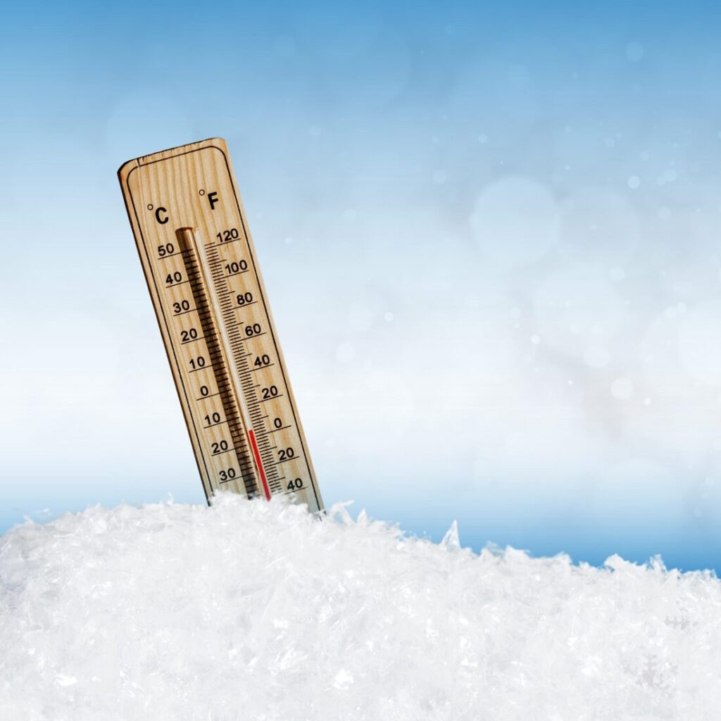 freeze food to prevent a rise in histamine